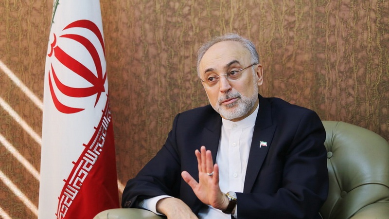 امریکہ پر بھروسہ نہ کرنے کے ایرانی مؤقف کی تصدیق