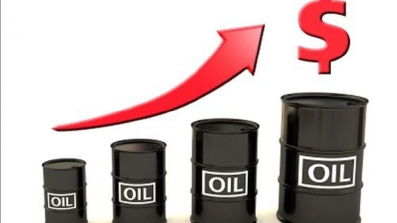 امریکی صدر کو تیل کی عالمی قیمتوں پر تشویش 