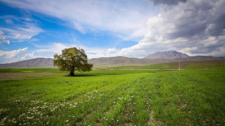 گۆرانی وەهاری تازه به دەنگی عەسگەر قوربانی