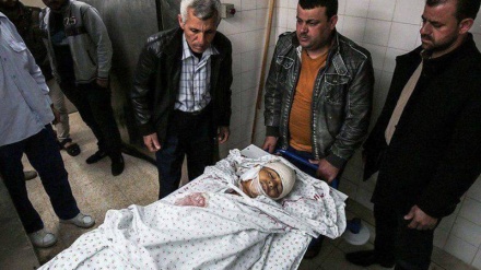 فلسطینی شہدا کی تعداد میں اضافہ 