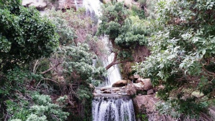 گۆرانی کوردی شیرینە سەوزە