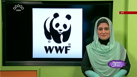 پروگرام نسیم زندگی کا معلوماتی حصہ