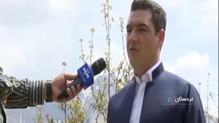 تۆمارکرانی دۆزینەوەی گیا پزیشکیەکان