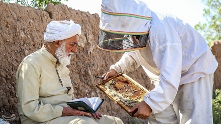 آیت اللہ خوئی (رہ) کے شاگرد،کاروبار کرتے ہیں! ۔ تصاویر