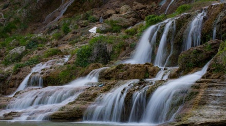سرووشتی جوانی تاڤگەکانی ئێران