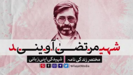 شہید مرتضیٰ آوینی، شہید کا زندگی نامہ شہید کی اپنی زبانی