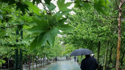 گۆرانی کوردی باران