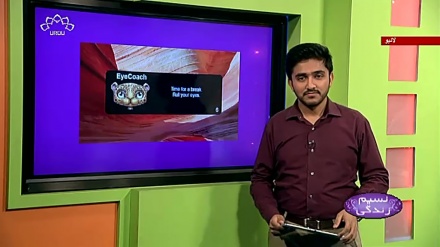 پروگرام نسیم زندگی کا معلوماتی حصہ