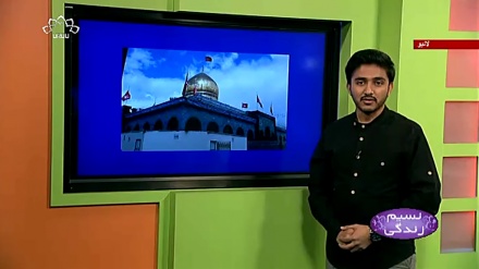 پروگرام نسیم زندگی کا معلوماتی حصہ