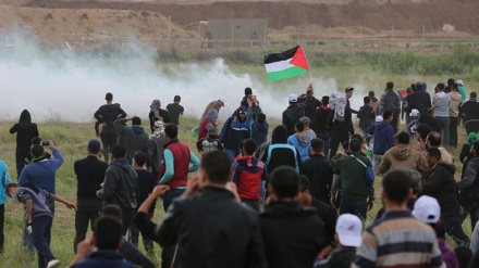غزہ میں اسرائیلی جارحیت کے خلاف عالمی ردعمل