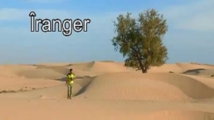 Îranger