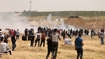  Siyonîstan ciwanekî filistînî li Gazayê şehîd kirin