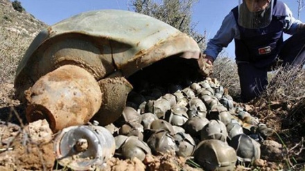 کەڵک وەرگرتنی عەرەبستان لە بۆمبی قەدەغە دژ بە خەڵکی یەمەن