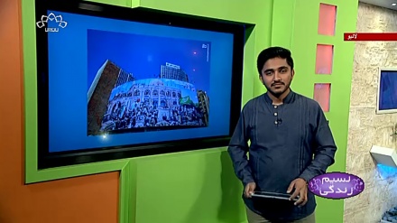 پروگرام نسیم زندگی کا معلوماتی حصہ