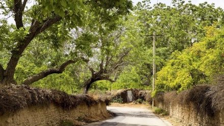 گۆرای دیار له خەلیل سەعیدی