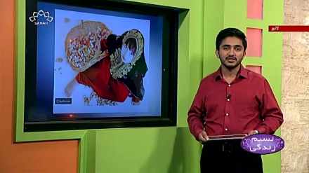 پروگرام نسیم زندگی کا معلوماتی حصہ