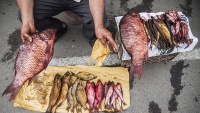 Tradicionalni bazar u Šaftu, pokrajina Gilan