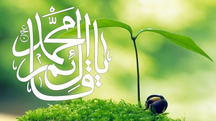 دعائے امام زمانہ عجل اللہ تعالی فرجہ الشریف- ویڈیو