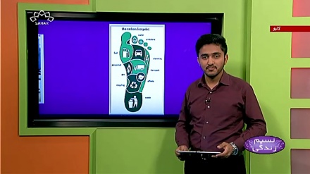 پروگرام نسیم زندگی کا معلوماتی حصہ