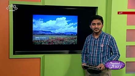 پروگرام نسیم زندگی کا معلوماتی حصہ