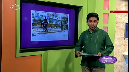 پروگرام نسیم زندگی کا معلوماتی حصہ