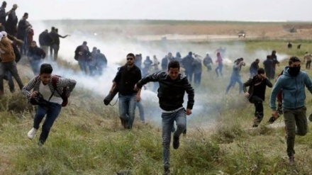 یوم نکبہ، اسرائیلی بربریت میں چالیس سے زائد فلسطینی شہید