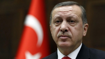 عفرین کی کارروائیوں میں کامیابی کے بارے میں اردوغان کا دعوی