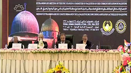 اسلامی بین الپارلیمانی یونین کی فلسطین کمیٹی کا ہنگامی اجلاس