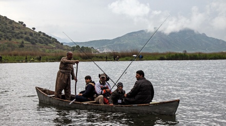 فستیڤاڵی نێودەوڵەتی ڕاوەماسی لە مەریوان