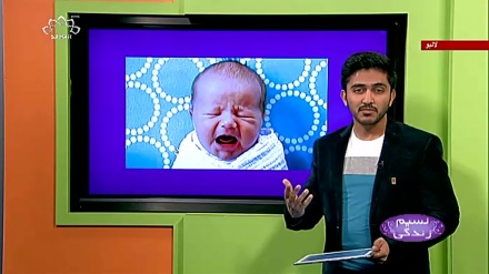 پروگرام نسیم زندگی کا معلوماتی حصہ