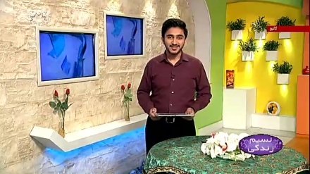 پروگرام نسیم زندگی کا معلوماتی حصہ