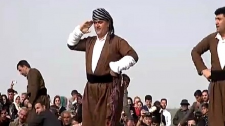  فستیواڵی ناوچەیی کایه کوردییەکان له شاری مەریوان