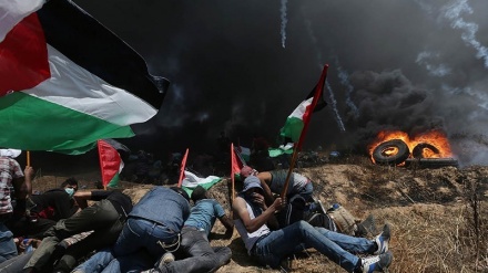 Slavlje u lokvi krvi: Kadirov o otvaranju američke ambasade u Jerusalimu