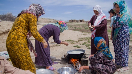 ژنه عەشیرەتەکانی هۆزی تورکەمەنی گولستان