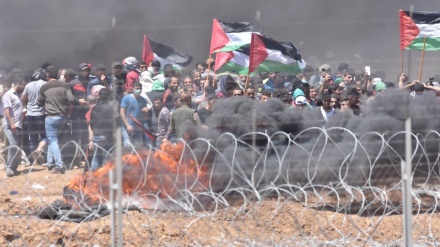 یوم نکبت کے موقع پر فلسطینیوں  کے احتجاجی مظاہرے