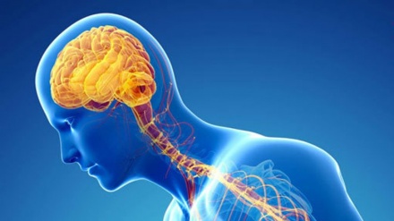 چەند ڕێنموونی سەبارەت بە نەخۆشی پارکینسۆن