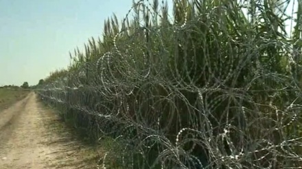 Crna Gora zbog migranata postavlja žičane ograde prema Albaniji?