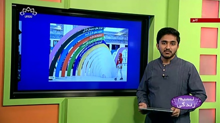 پروگرام نسیم زندگی کا معلوماتی حصہ