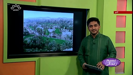 پروگرام نسیم زندگی کا معلوماتی حصہ