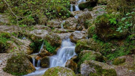 سرووشتی جوانی ئێران