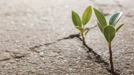 هیوای کۆمەڵایەتی چۆن بەدی دێت؟