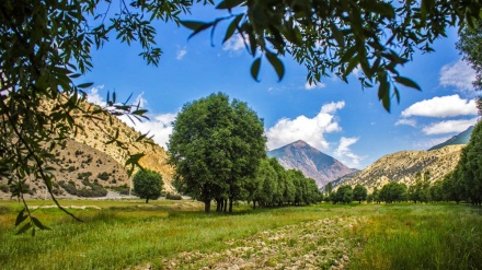 گۆرانی کوردی شنەی بای شەماڵ