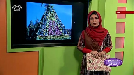 پروگرام نسیم زندگی کا معلوماتی حصہ