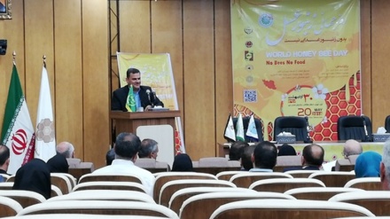 İran bal istehsalı üzrə dünyanın ilk 5 ölkəsindən biridir