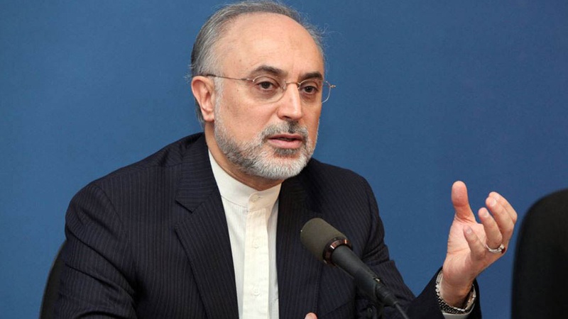 ایران نے آسوٹوپ کی افزودگی کی ٹیکنالوجی کو حاصل کر لیا: علی اکبر صالحی