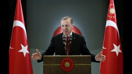 Ərdoğan Avstriyada bəzi məscidlərin bağlanmasını tənqid edib