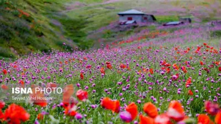 روئے زمین پر جنت کے رقیب ۔ تصاویر