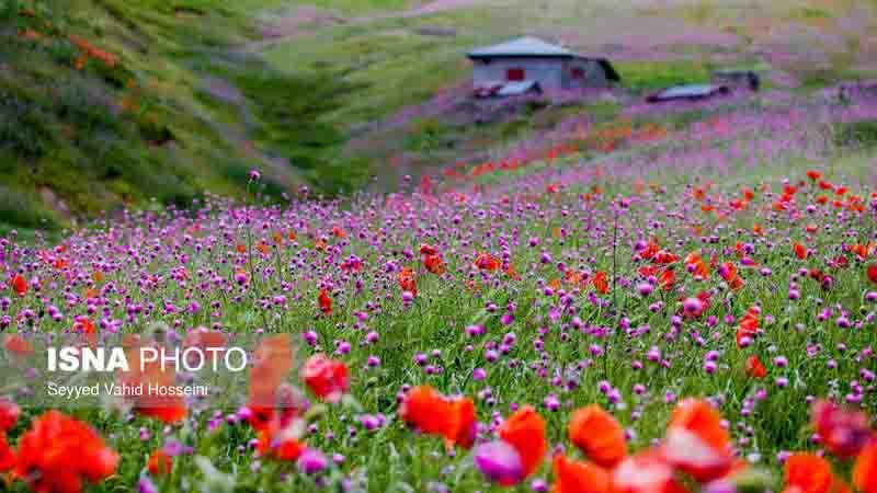 روئے زمین پر جنت کے رقیب ۔ تصاویر