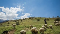 Dehdez, Huzestan
