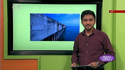 پروگرام نسیم زندگی کا معلوماتی حصہ